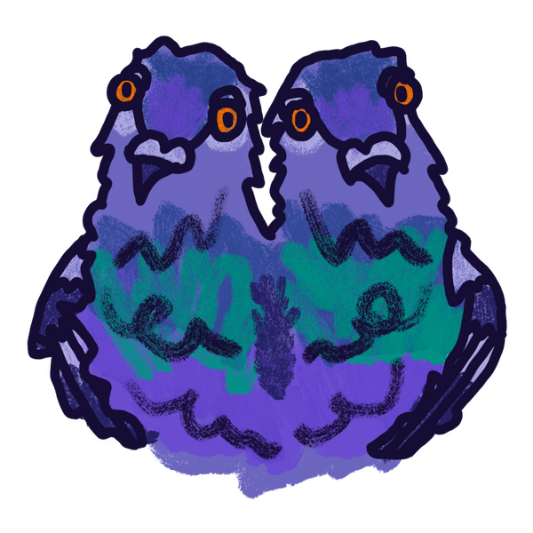 Pigeon Pigeon